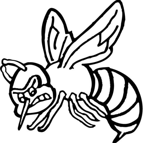 BEE01 Vignette