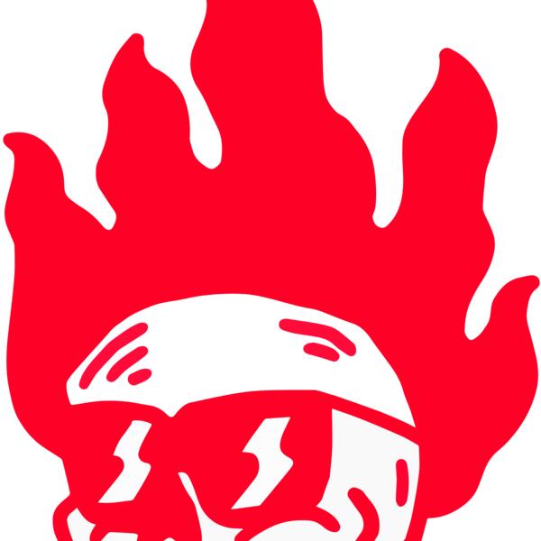 Elements Skulls logo template 51 Vignette