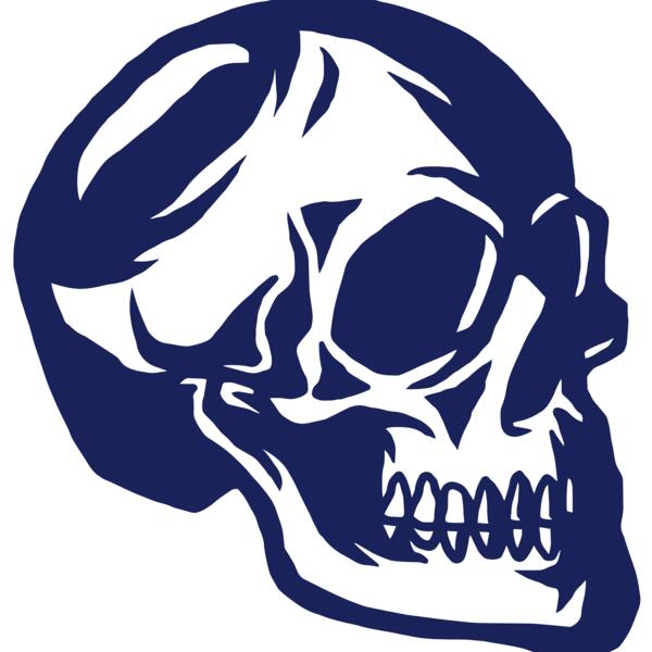 Elements Skulls logo template 139 Vignette