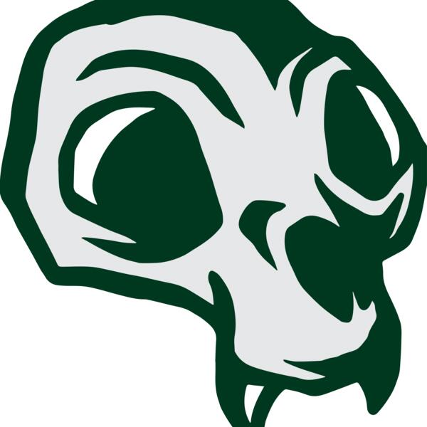 Elements Skulls logo template 144 Vignette