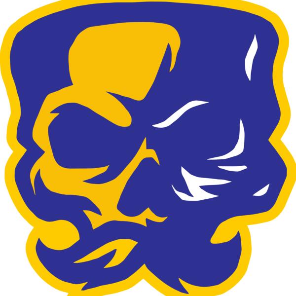 Elements Skulls logo template 151 Vignette