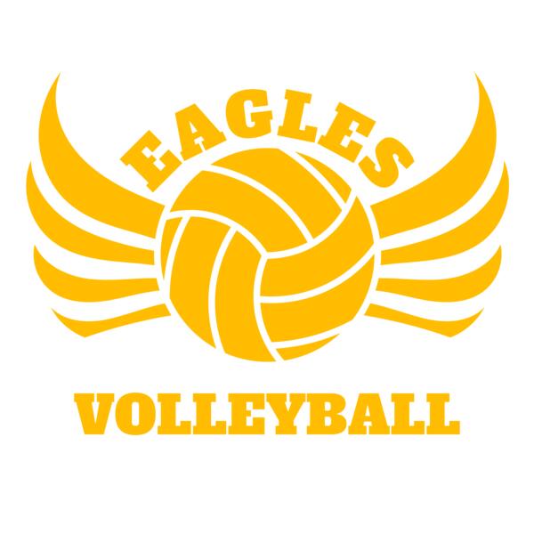 Volleyball 11 Vignette