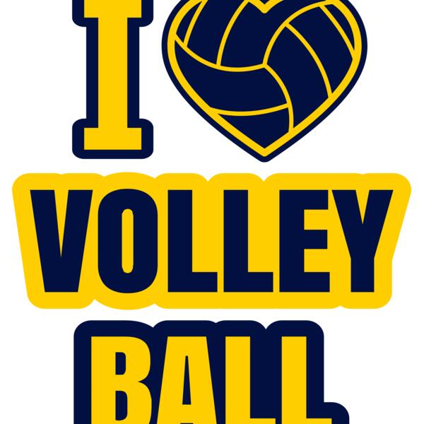 Volleyball 26 Vignette