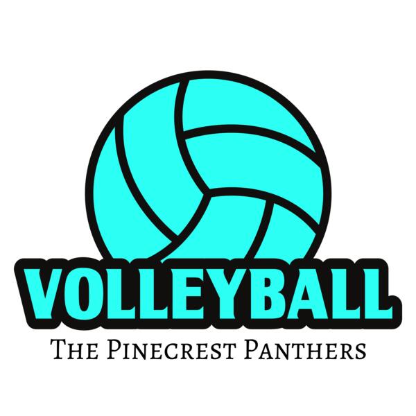 Volleyball 37 Vignette