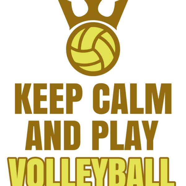 Volleyball 38 Vignette