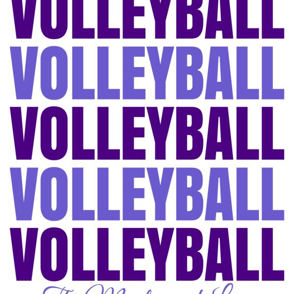 Volleyball 44 Vignette