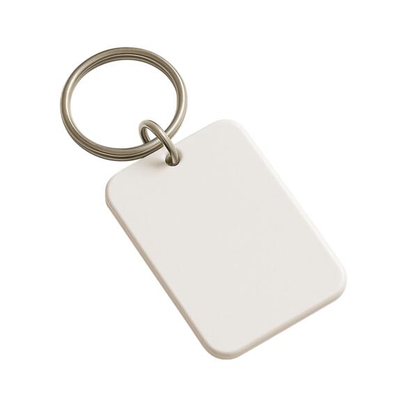 Portes clés Vignette