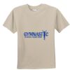 T-shirt col rond Vignette